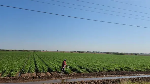 Nota Relacionada de Agro