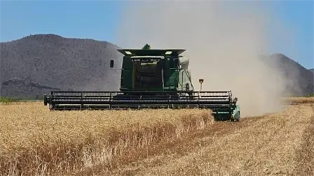 Valle del Fuerte alcanza 90 mil hect&aacute;reas con permiso de siembra; alertan cierre definitivo de ventanillas