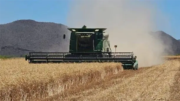 Nota Relacionada de Agro