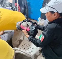 En Culiac&aacute;n se aplicar&aacute;n hasta 12 horas de arresto para quienes detonen cuetes