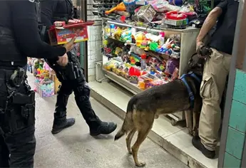 Venom entra en acci&oacute;n: clausurar&aacute;n negocios que vendan pirotecnia en Ahome