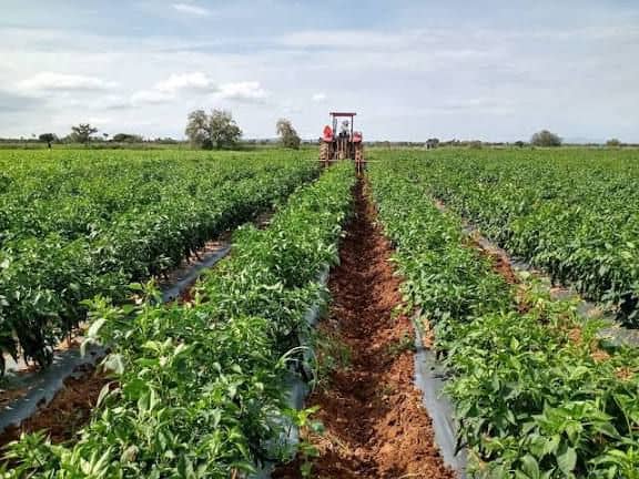 Imagen Placeholder Imagen Placeholder