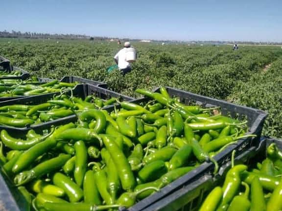 Imagen Placeholder Imagen Placeholder