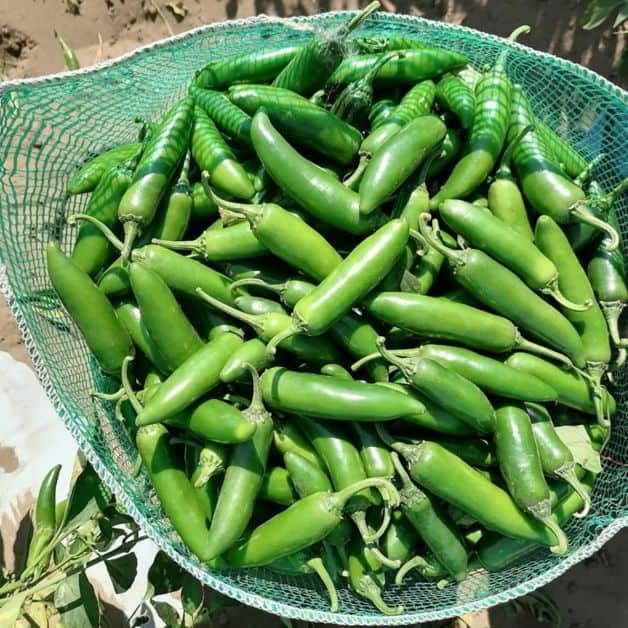 Imagen Placeholder Imagen Placeholder