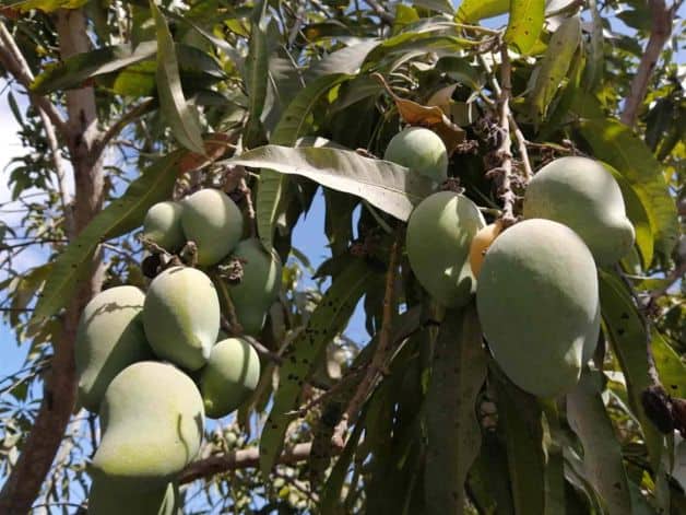 Imagen Placeholder Imagen Placeholder