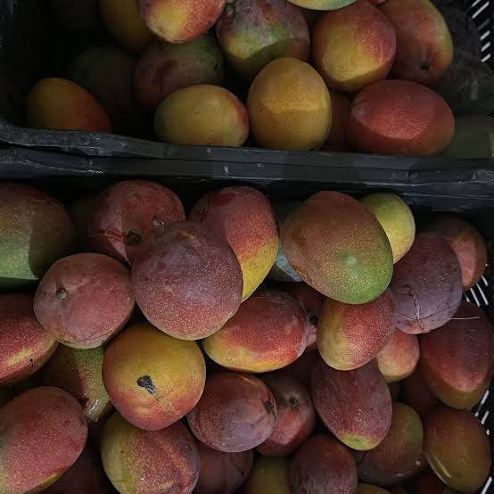 Imagen Placeholder Imagen Placeholder