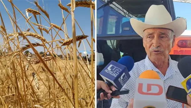 Nota Relacionada de Agro