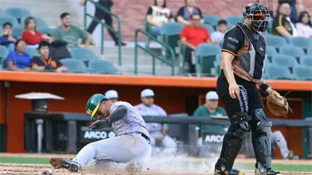 LMP: Doble jornada, divisi&oacute;n entre Naranjeros y Ca&ntilde;eros