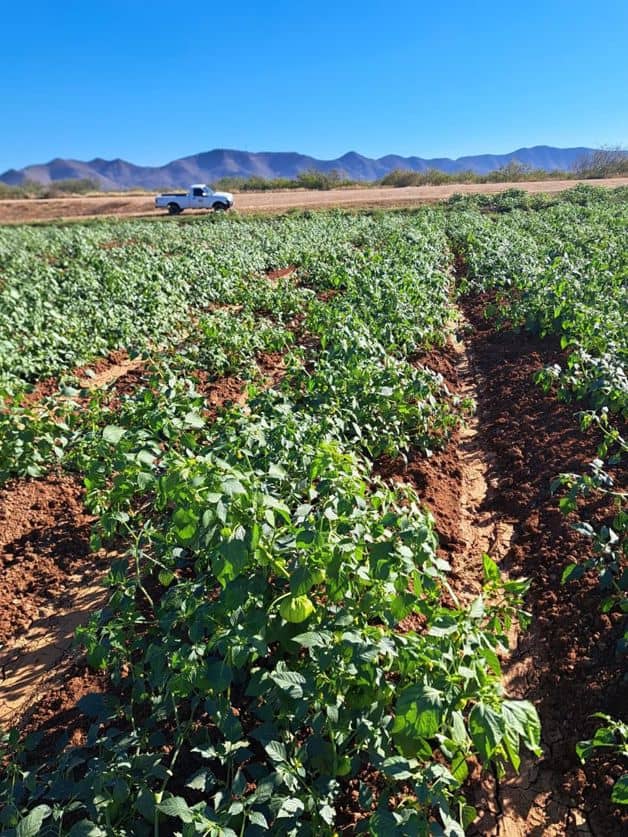 Imagen Placeholder Imagen Placeholder