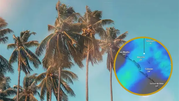 Nota Relacionada de Sinaloa