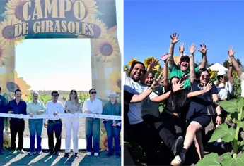 Con gran esplendor inauguran el Campo de Girasoles en Mocorito