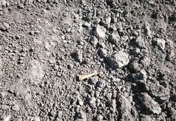 Localizan restos humanos en El Alhuate de la sindicatura de Costa Rica