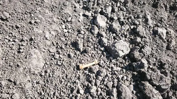 Nota Relacionada de Policiaca