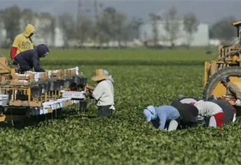Sequía, precios bajos y competencia desigual hunden al campo mexicano; productores piden un nuevo acuerdo nacional