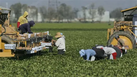 Sequ&iacute;a, precios bajos y competencia desigual hunden al campo mexicano; productores piden un nuevo acuerdo nacional