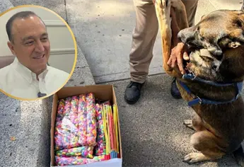 Clausuran comercios en Los Mochis por venta ilegal de pirotecnia