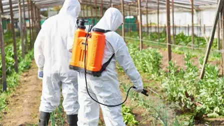 Refuerzan capacitaci&oacute;n para uso seguro de agroqu&iacute;micos en campos de Sinaloa