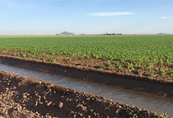 Prorroga de SADER para permisos de siembra es suficiente; Productores de El Carrizo pueden regularizarse sin contratiempos