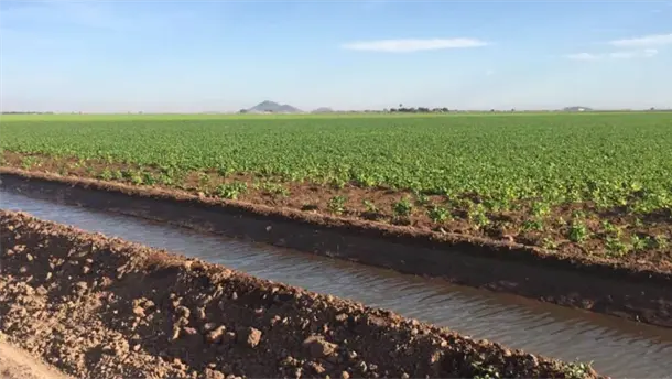 Nota Relacionada de Agro