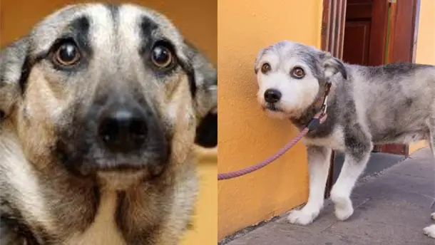 Nota Relacionada de Internacional