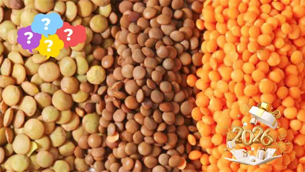 Nota Relacionada de M&eacute;xico