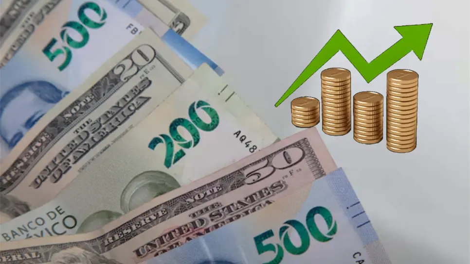 FOTO: Cortesía/Freepik.