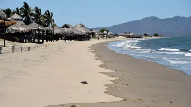 Nota Relacionada de Sinaloa