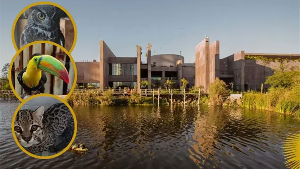 Nota Relacionada de Sinaloa