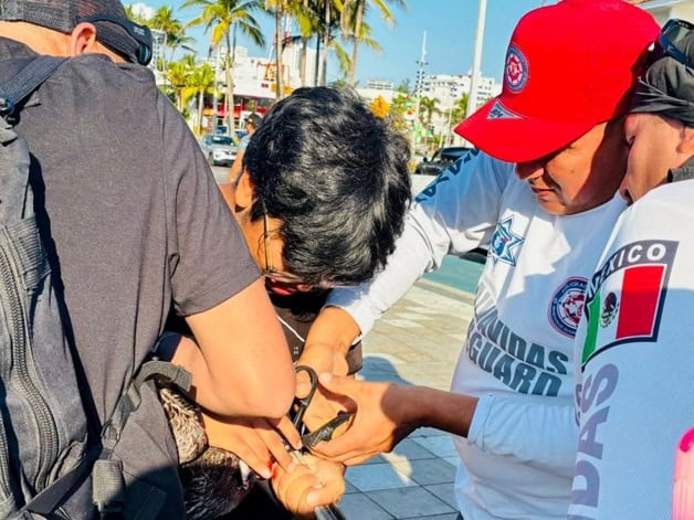 Imagen Placeholder Imagen Placeholder