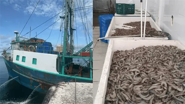 Nota Relacionada de Agro