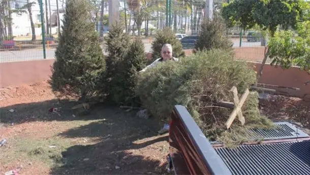 Nota Relacionada de Sinaloa