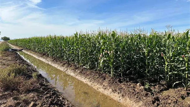 Nota Relacionada de Agro
