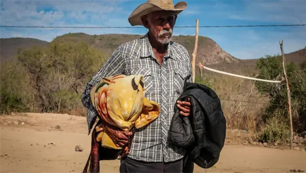 Nota Relacionada de Sinaloa