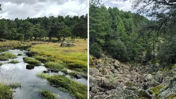 Nota Relacionada de Sinaloa