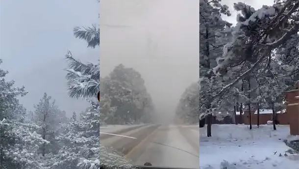 Nota Relacionada de M&eacute;xico