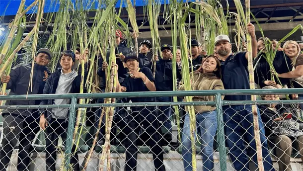 Nota Relacionada de Sinaloa