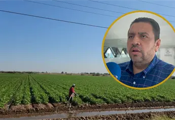 Precio del maíz no alcanza ni para cubrir costos: el gran reto del campo en 2026