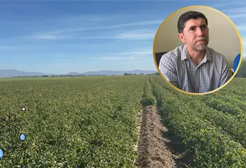 Sinaloa vive la primera mañana fría del 2026