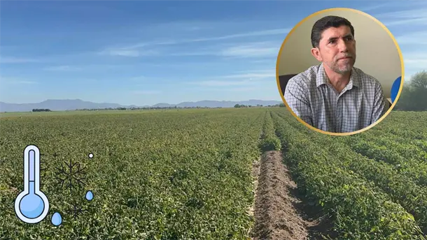 Nota Relacionada de Sinaloa