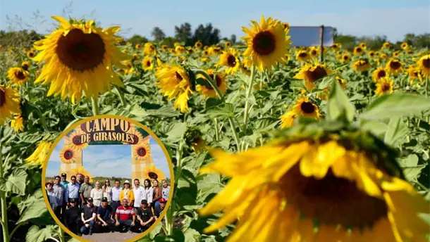 Nota Relacionada de Sinaloa