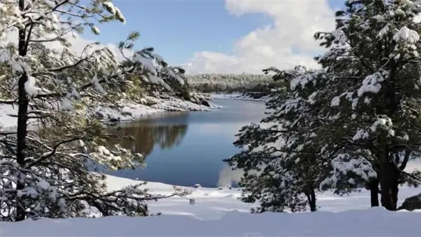 Nota Relacionada de M&eacute;xico