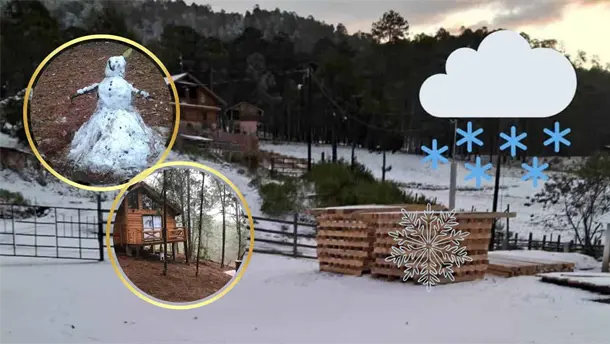 Nota Relacionada de Sinaloa