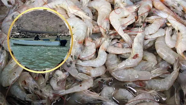 Nota Relacionada de Agro