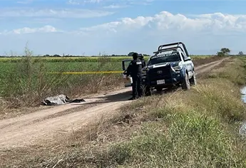 Localizan a una persona asesinada a balazos en La Michoacana, Navolato