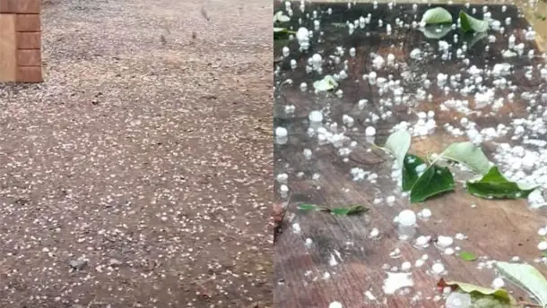 Nota Relacionada de Sinaloa