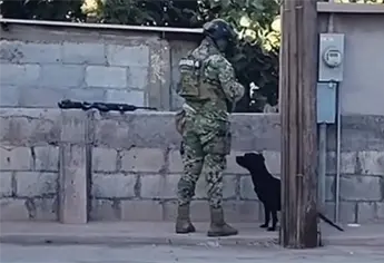 Captan a elemento de la Marina alimentando a un perrito en situación de calle