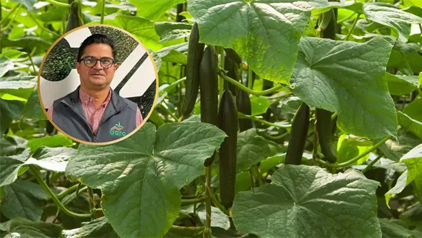 Nota Relacionada de Agro