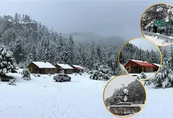 Nevadas pintan de blanco municipios de la Sierra Tarahumara de Chihuahua tras el paso del frente frío 27