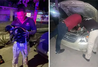PC Ahome rescata a perrita que pasó más de 10 días atrapada en el motor de un automóvil