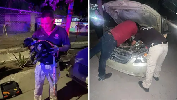 Nota Relacionada de Sinaloa